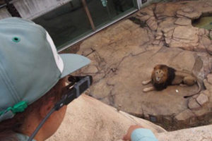 千葉市動物公園が源小学校でDynabook社『インテリジェントビューア』を用いた遠隔授業の実証実験を実施